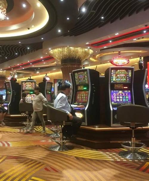 771bet é a plataforma ideal para apostas esportivas e jogos de cassino com segurança e diversão